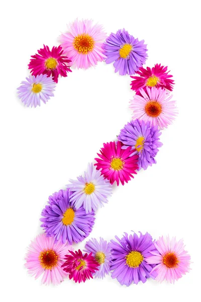 Flower alphabet — Stock Photo, Image