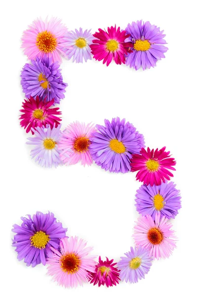Çiçek alfabesi — Stok fotoğraf