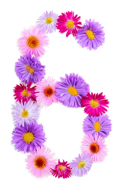 Flower alphabet — Stock Photo, Image