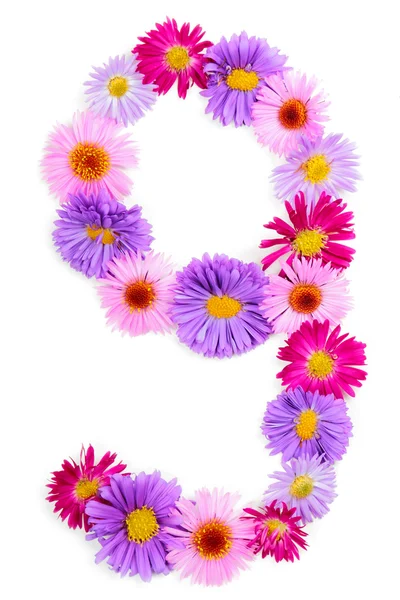 Alfabet kwiat — Zdjęcie stockowe