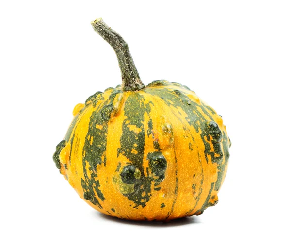 Pumpkin — Stock Photo, Image