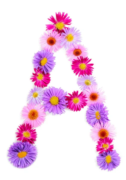 Flower alphabet — Stock Photo, Image