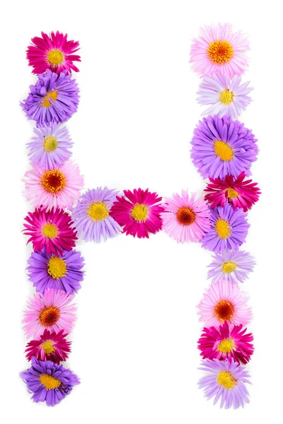 Blomma alfabetet — Stockfoto