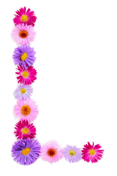 Flower alphabet — Stock Photo, Image