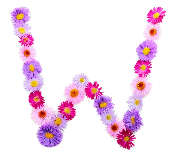 Flower alphabet — Stock Photo, Image