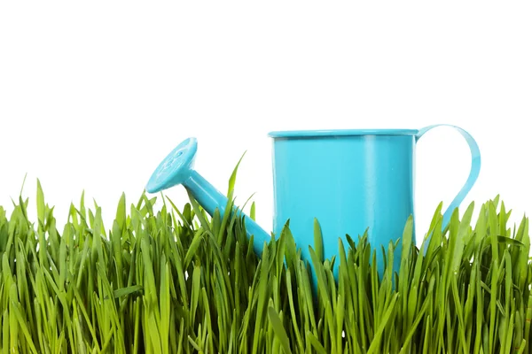 The watering can — Stock Photo, Image