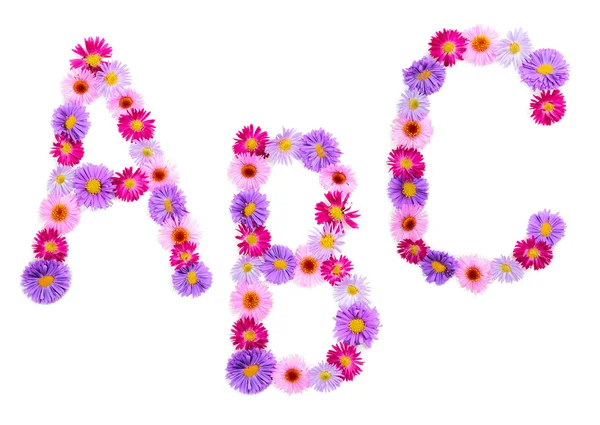 Flower alphabet — Stock Photo, Image