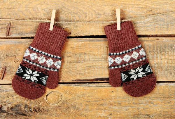 The mittens — Stock Photo, Image