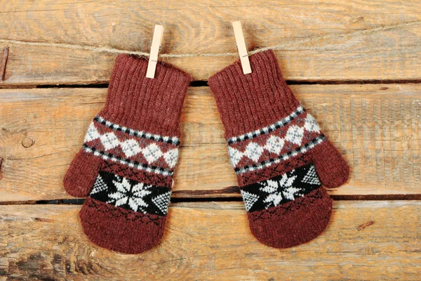 The mittens — Stock Photo, Image