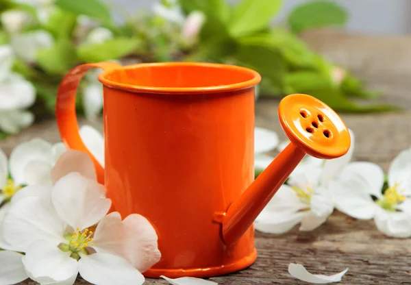 The watering can — Stock Photo, Image