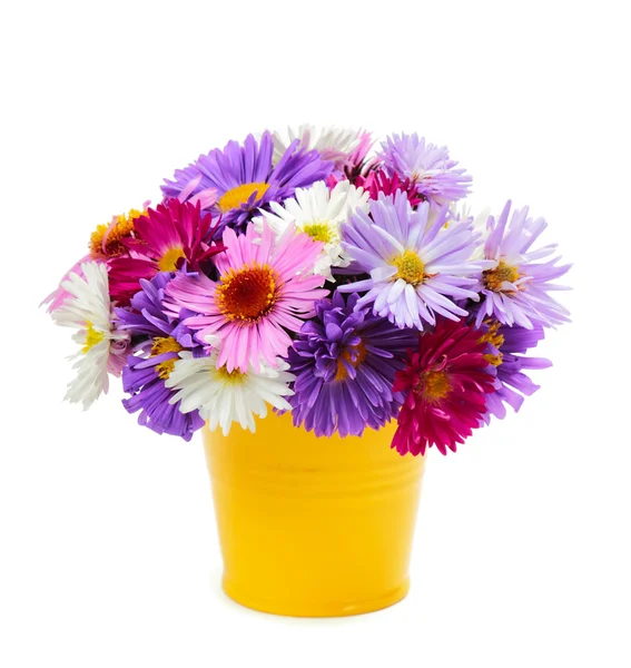 Bouquet of flowers — Stock Photo, Image