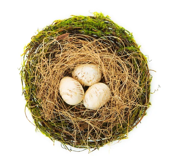 The nest — Stock Photo, Image