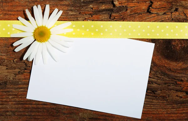 Greeting post card — Stock Photo, Image