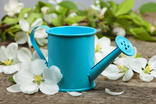 The watering can — Stock Photo, Image