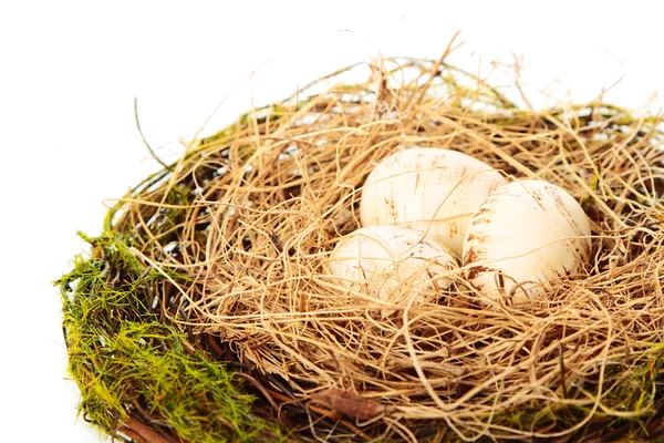 The nest — Stock Photo, Image