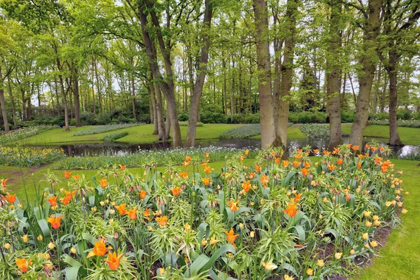 Giardino a Keukenhof — Foto Stock