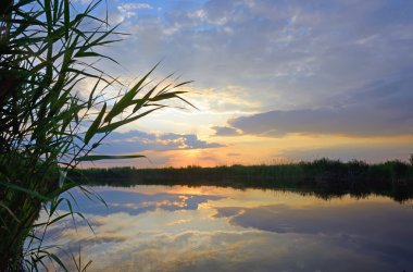 gün batımına karşı Reed