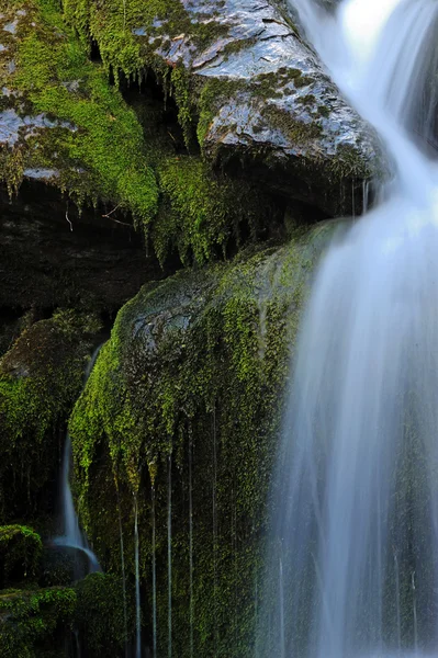 Vackert vattenfall i skogen — Stockfoto