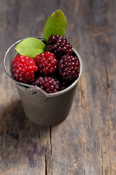 Unripe blackberry in small bucket — Stock Photo, Image