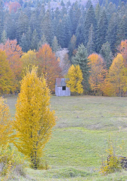 Kleurrijke herfst landschap — Stockfoto