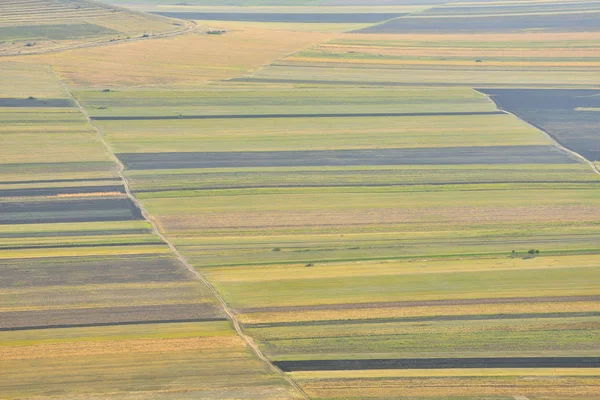 Campos de restolho em Dobrogea — Fotografia de Stock