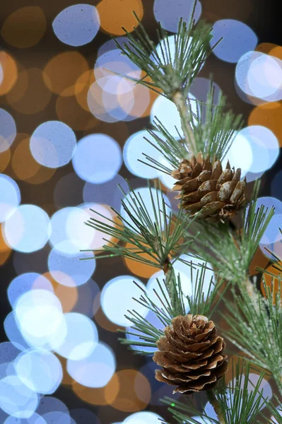 Decoración Navidad Con Almuerzo Pino Brillo Bokeh —  Fotos de Stock