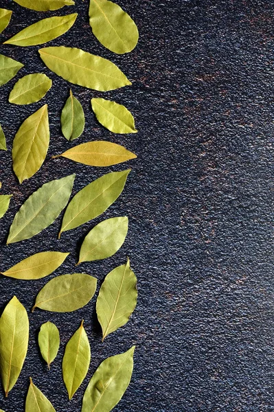 Сухий Зелений Лавровий Листочок Кам Яному Фоні — стокове фото