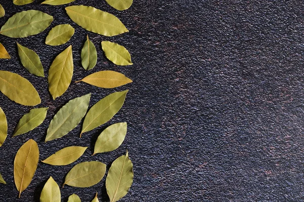 Сухий Зелений Лавровий Листочок Кам Яному Фоні — стокове фото
