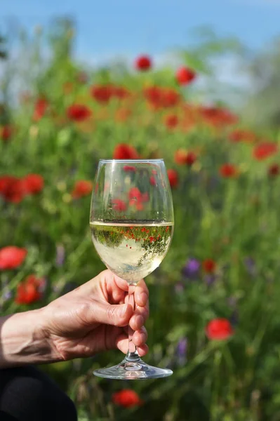 Gros Plan Verre Vin Blanc Fleurs Pavot Printemps — Photo