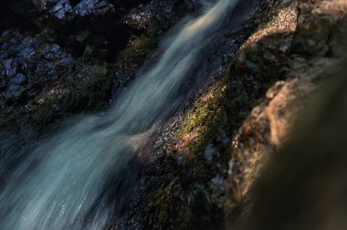 Maken 'de Küçük Şelaleler, Romanya Yazın Ormanı