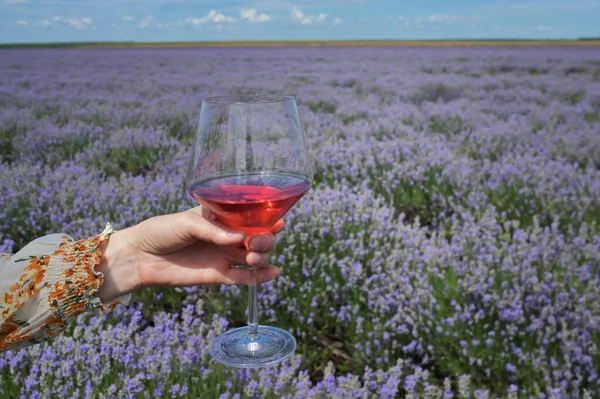 Woman Rose Wine Lavender Summer Field — Stock Photo, Image