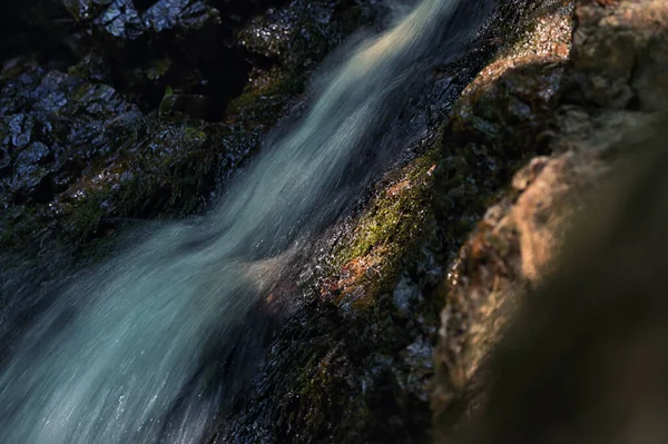 ルーマニアのメイン州の小さな滝夏の森 — ストック写真