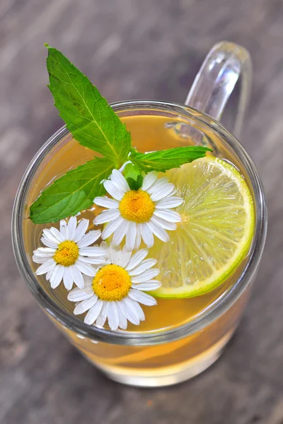 Camomile tea — Stock Photo, Image