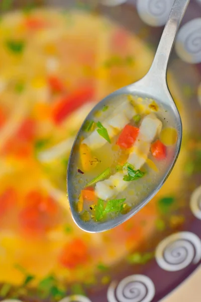 Soupe maison et cuillère — Photo