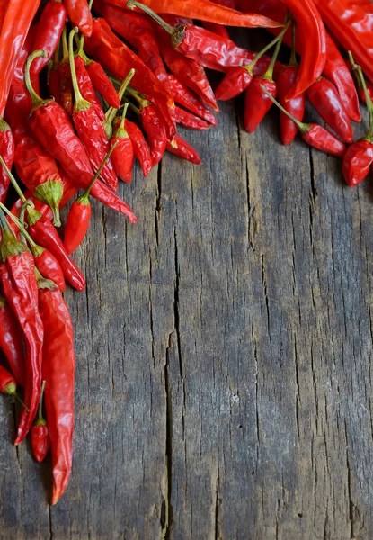 Dried red chili pepper — Stock Photo, Image