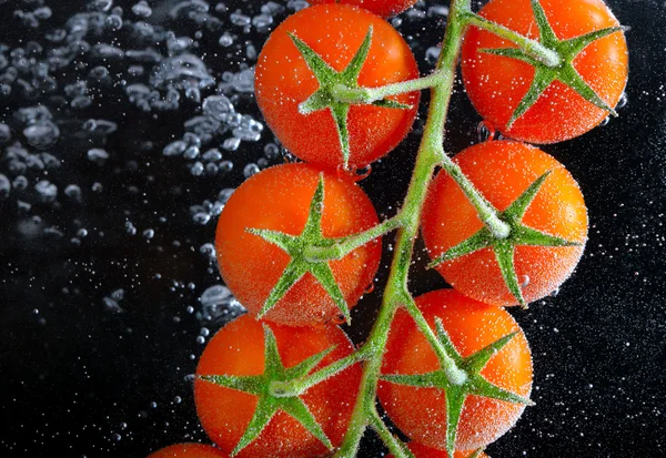 Suda taze domates — Stok fotoğraf