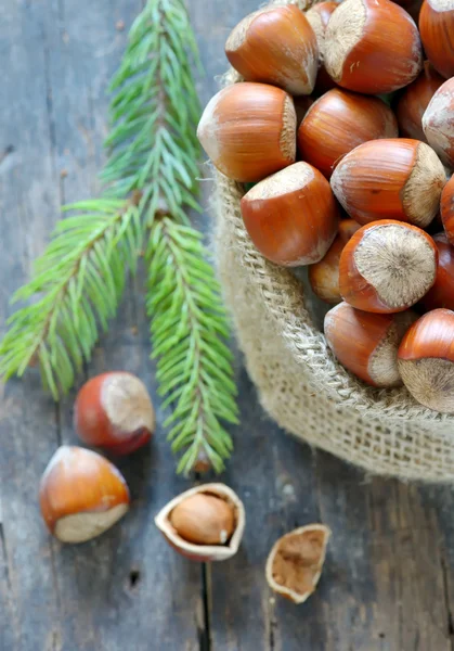 Organic Whole Hazelnuts in a sack — Stock Photo, Image
