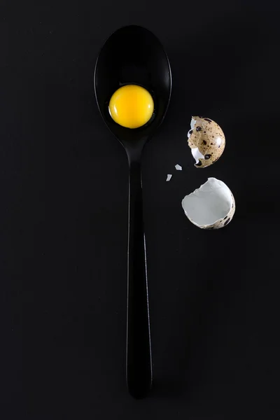 Vaktelägg — Stockfoto