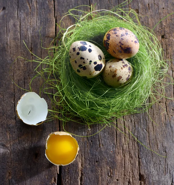 Quail eggs in a nest — Stock Photo, Image