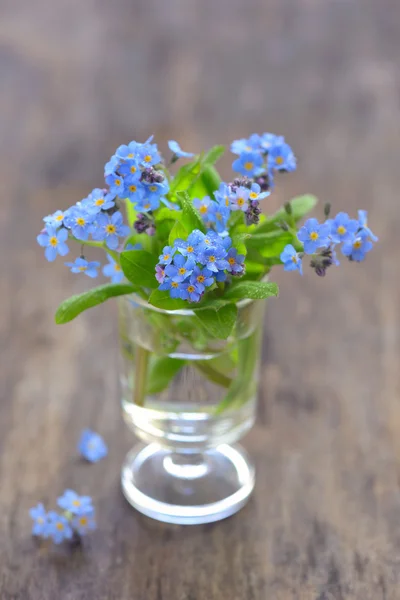 Forget me not flowers — Stock Photo, Image