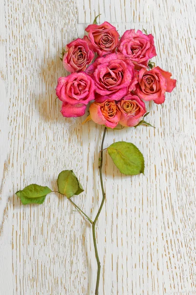 Kytice ze sušených růží — Stock fotografie