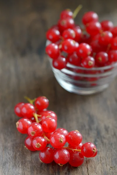 Fresh ripe currant — Stock Photo, Image