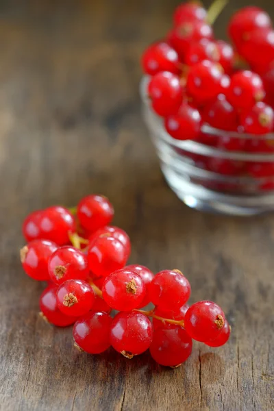 Red currants on wood background — Stock Photo, Image