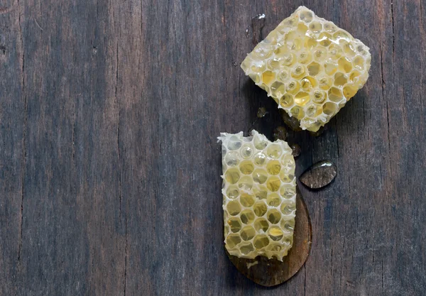 Panal de miel con miel — Foto de Stock