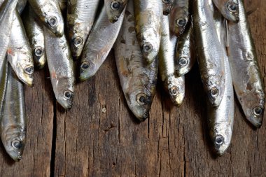 Hamsi (kırmızı) eski tablo 