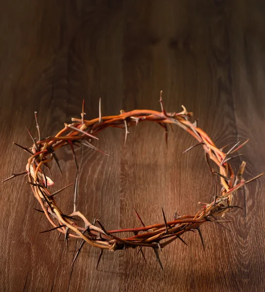 Crown of thorns — Stock Photo, Image