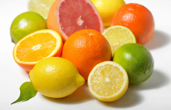 Citrusvruchten, geïsoleerd — Stockfoto