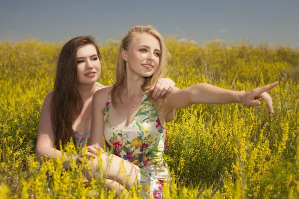 Zwei junge glückliche Freunde sitzen auf Gras und lächeln — Stockfoto