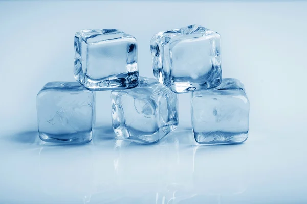Cubos de gelo estúdio foto tonificação azul — Fotografia de Stock