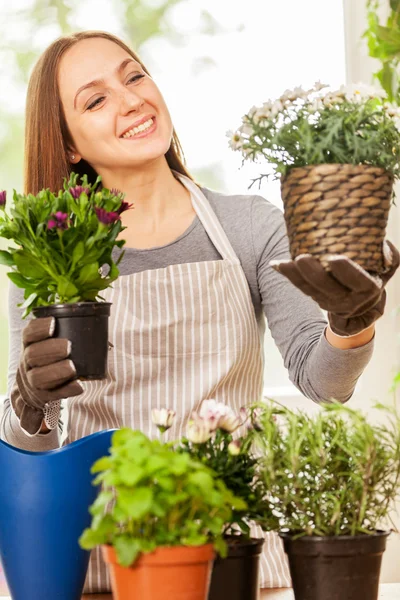 Giovane donna caucasica che fa del giardinaggio a casa con il suo colo — Foto Stock